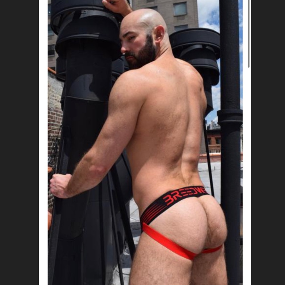 Breedwell Red Moto Jock - Picture 4 of 7